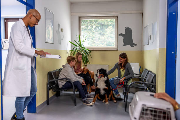 istock Veterinarian Calling In A Next Patient 1544265070