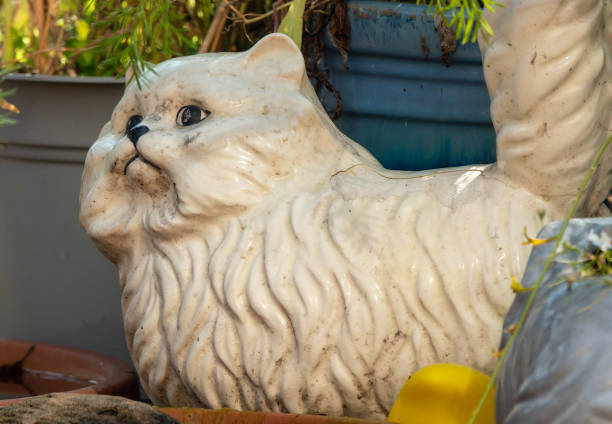 Boy up on a tree in the garden, along with an cat