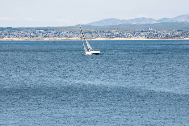 istock Sail boat in Monterey Bay 1544318734