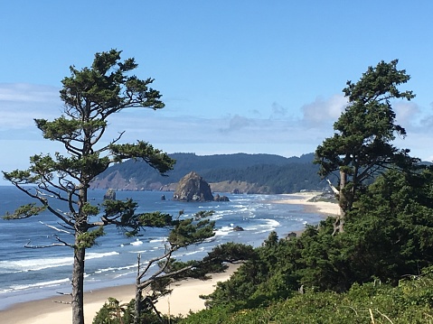 A non-traditional view overlooking the infamous Canon Beach rock along the Oregon coast/Pacific ocean. The image is taken behind a grouping of trees and brush but splits in the middle to reveal the rock. Waves are crashing nearby and the sand is so bright and inviting that you can almost feel it’s warmth.