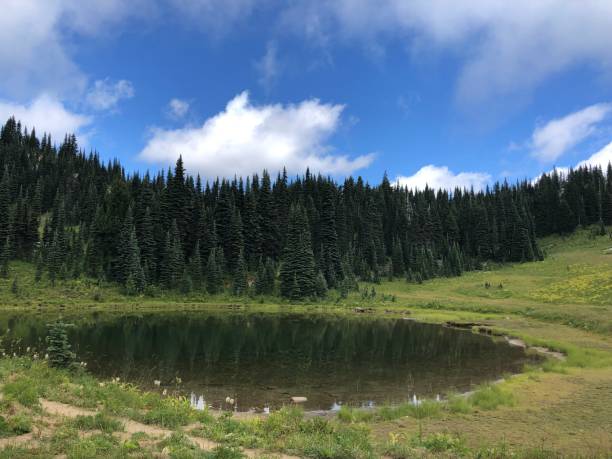 istock Natural Lake at Mt. Rainier 1544364833