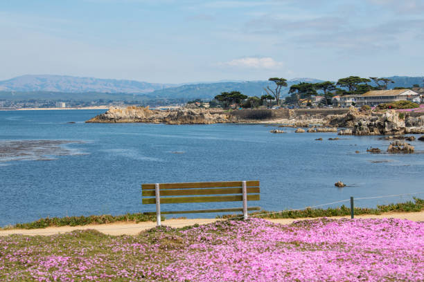 istock Flowers by the sea 1544403807