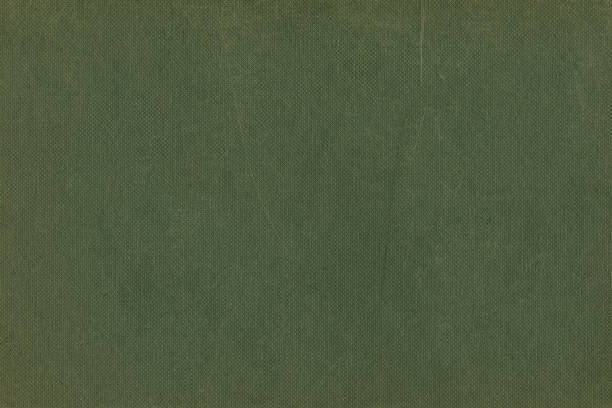 istock Natural dark olive green calico cotton fabric swatch, pale rustic fiber pastel texture pattern, old aged scratched horizontal rough vintage book cover textile cloth background, large detailed macro closeup, textured retro canvas wallpaper copy space 1544449856