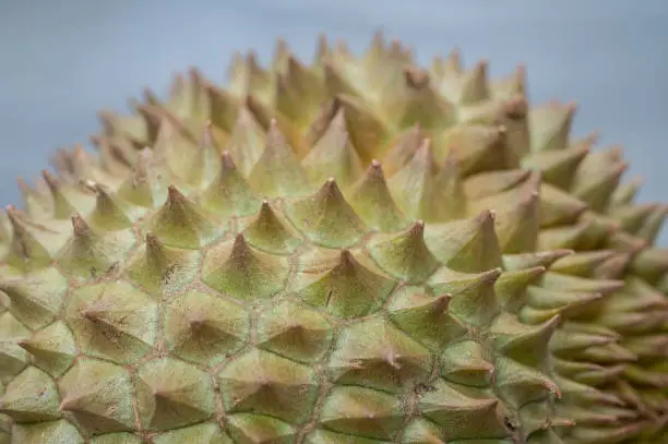 Photo of Close up detail of spiky and textured of Durian shell.