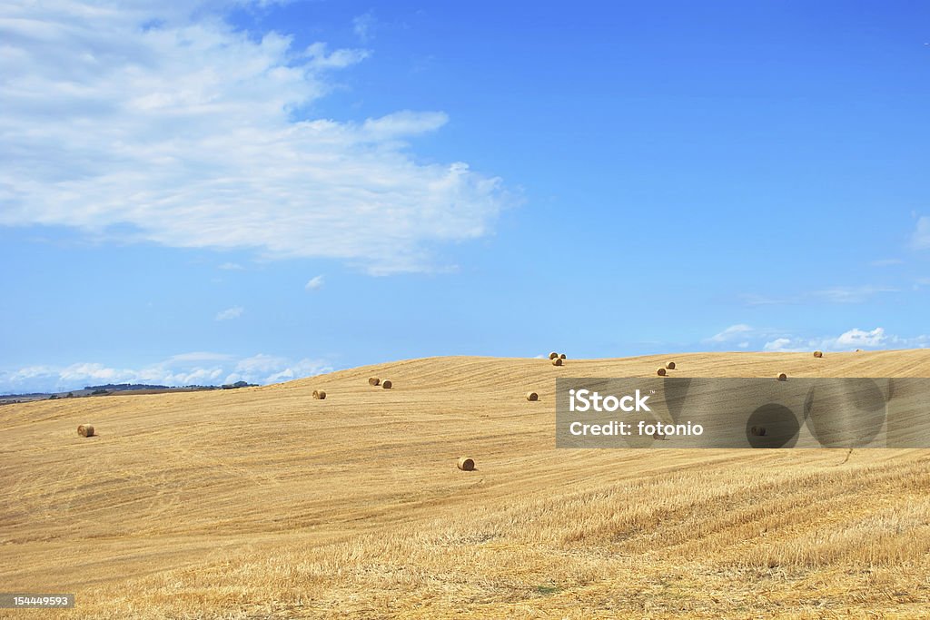 Feld mit Strohballen - Lizenzfrei Alles hinter sich lassen Stock-Foto