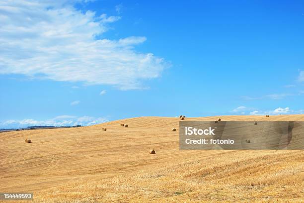 Feld Mit Strohballen Stockfoto und mehr Bilder von Alles hinter sich lassen - Alles hinter sich lassen, Anhöhe, Baum