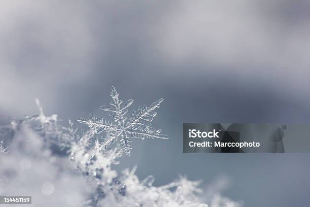 Fiocco Di Neve Isolato Su Uno Sfondo Neutro Chiudere Up - Fotografie stock e altre immagini di Fiocco di neve