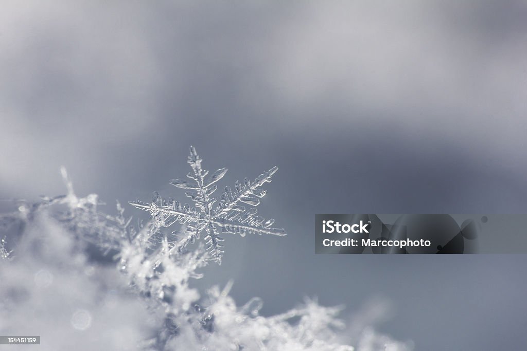 snowflake isolado no neutro plano. próximo voo. um - Foto de stock de Floco de Neve royalty-free