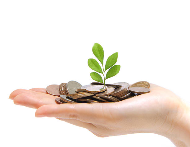 hand full of money and holding a green plant stock photo