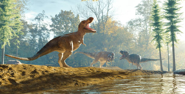 istock Dinosaurs in the nature 1544629578