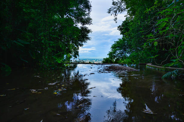 Chiang Mai city view with water flowing and tree forground at Wat Pha temple, Chiang Mai province.