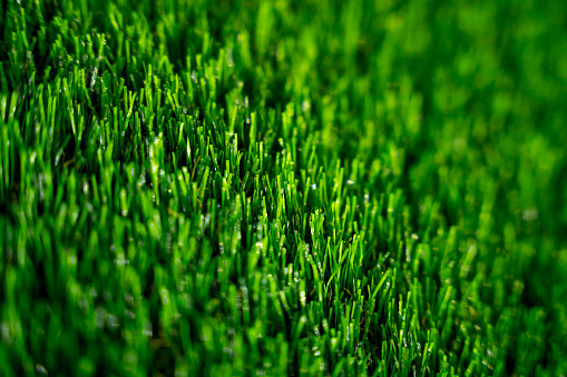 Background of artificial green grass at the showroom of a large store