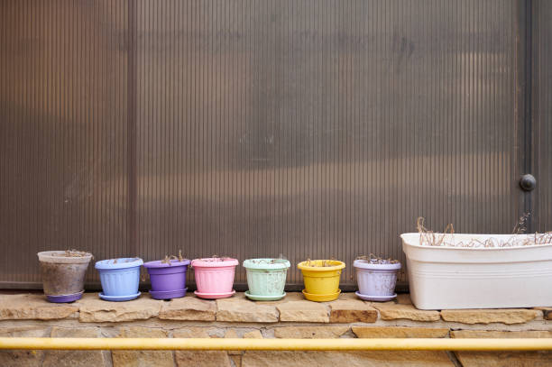 Still life with beautiful multi colored colorful plant pots on bricks against a polycarbonate wall background. The concept of growing flowers and plants