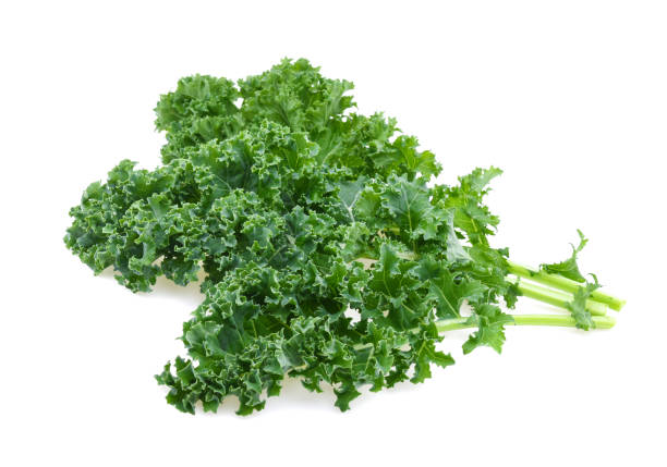 istock Kale leaf salad vegetable isolated on white background 1544861179