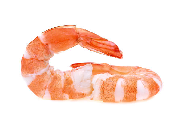 istock shrimps isolated on white background 1544874156