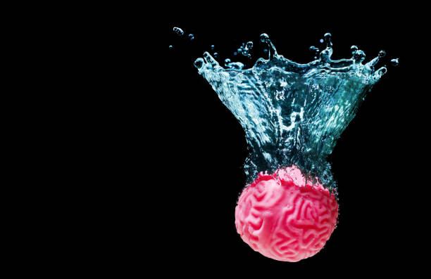 istock Human Brain Submerged in Water with Splashes 1544882037