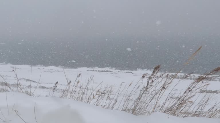 Huge snowflakes blowing slow motion in a sea coast blizzard