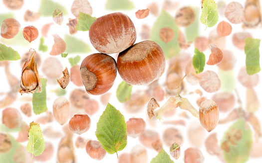 Abstract background made of Hazelnut pieces, slices and leaves isolated on white.