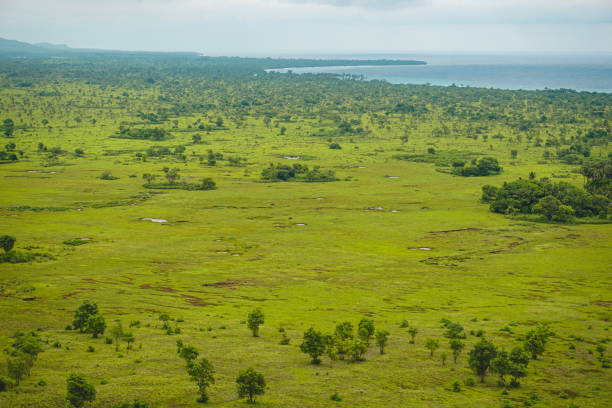 istock Kerbau Mountain in Moa Island, Southwest Maluku 1545034326