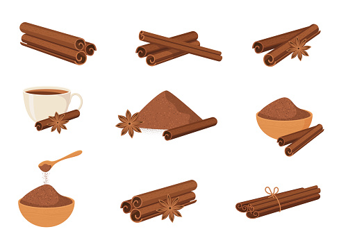 Set of cinnamon sticks with powder and star anise isolated on white background vector illustration