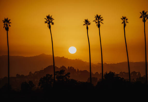 The sun setting in Los Angeles California