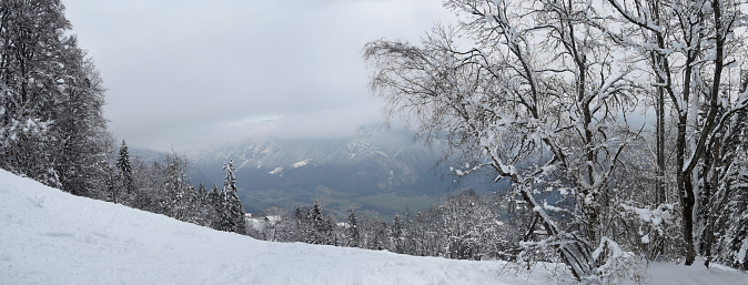 Winter landscape in French Alps: panoramic view with mountains, trees and snow
