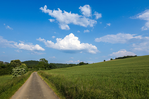 Blue sky with cloud and green field. nature background