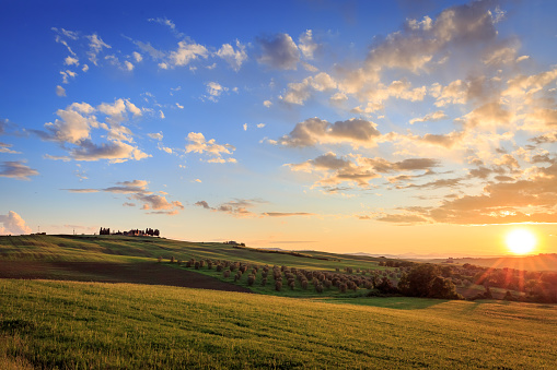Iconic view of Tuscany hill at sunset