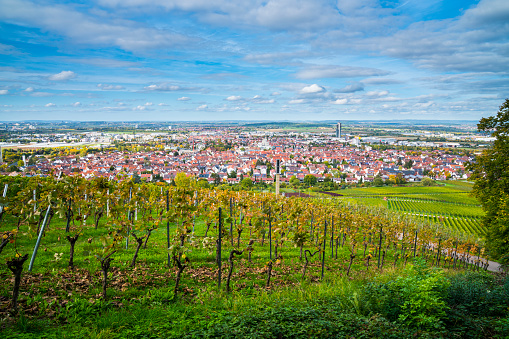 Germany, Fellbach city skyline vineyard panorama view autumn season above roofs houses tower at sunset mood with blue sky and sun