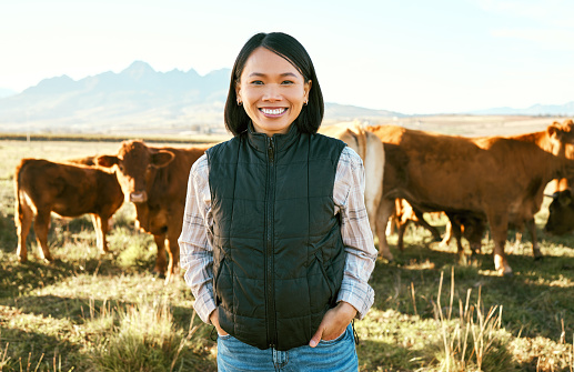 Cow, farmer and asian woman on field in nature for meat, beef or cattle food industry in Japan. Portrait happy female farming livestock, cows and agriculture animals, milk production and management