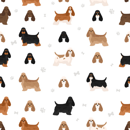 Cocker Spaniel Pattern Png American Cocker Spaniel Seamless Pattern Stock Illustration - Download ...