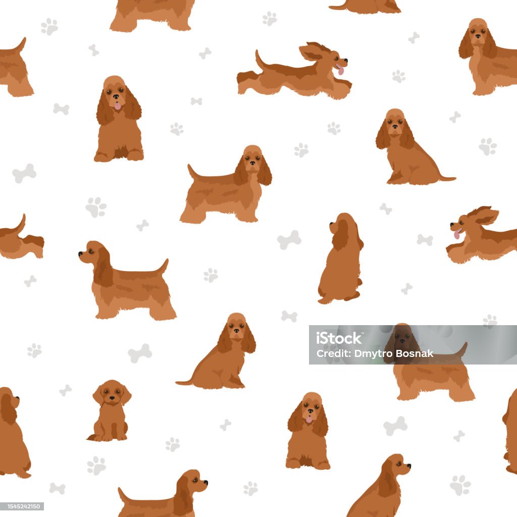 Cocker Spaniel Pattern Png American Cocker Spaniel Seamless Pattern Stock Illustration - Download ...