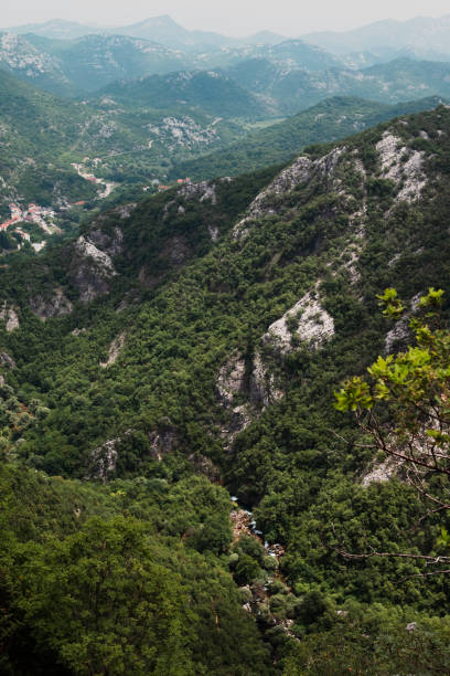istock The beginning of Lake Skadar, Montenegro 1545256486