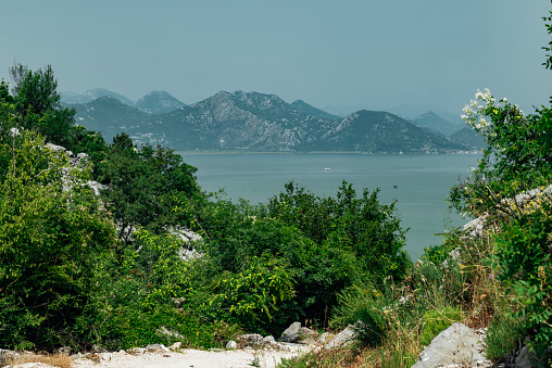 A dirt road down to the of lake Skadar, the largest lake in Southern Europe, from Montenegrin side.