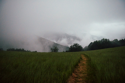 Foggy hilltops of Biogradska national park, the oldest nature protection site in Europe (1878)