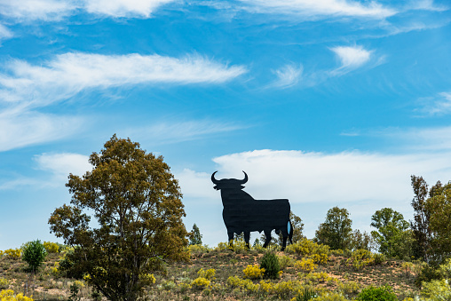 Billboard of the famous Osborne bull in the mountains of Andalusia.