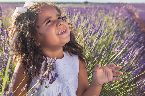 Beautiful girl in a field of lavender on sunset. family vacation concept