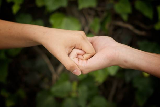 istock two hands holding each other with bottom of green wall with plants 1545275107