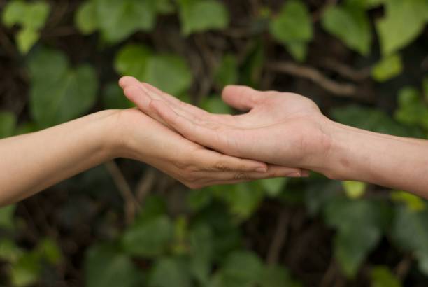 istock two hands with bottom of green wall with plants 1545275132