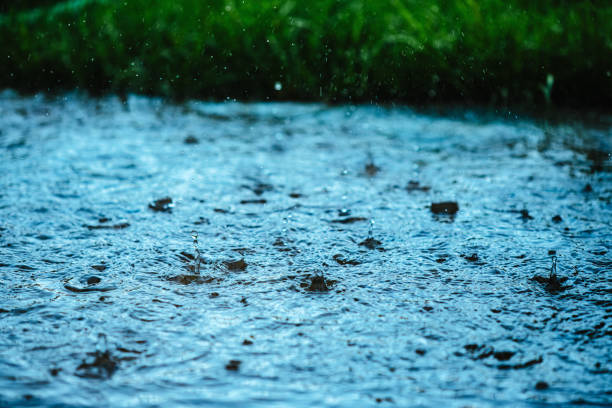 istock Raindrops at rainy day on green grass background 1545285003