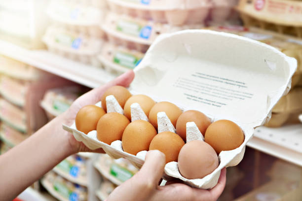 Exportações de Produtos Granjeiros em Abril de 2025. Imagem: Istockphoto.com Exportações de Produtos Granjeiros em Abril de 2025. Imagem: Istockphoto.com