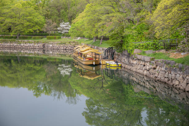 istock A boat near big trees. 1545308331