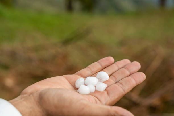 istock Holding hail balls in hand after a heavy hailstorm 1545364665