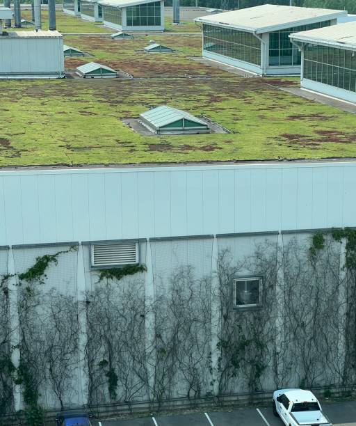 istock Automotive assembly plant with a green roof. 1545403091