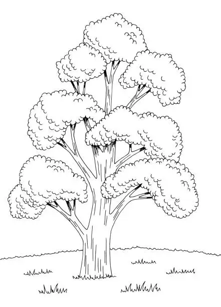 Vector illustration of Ginko bilbao tree graphic black white landscape sketch illustration vector