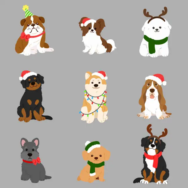 Vector illustration of christmas_frontSit_flat