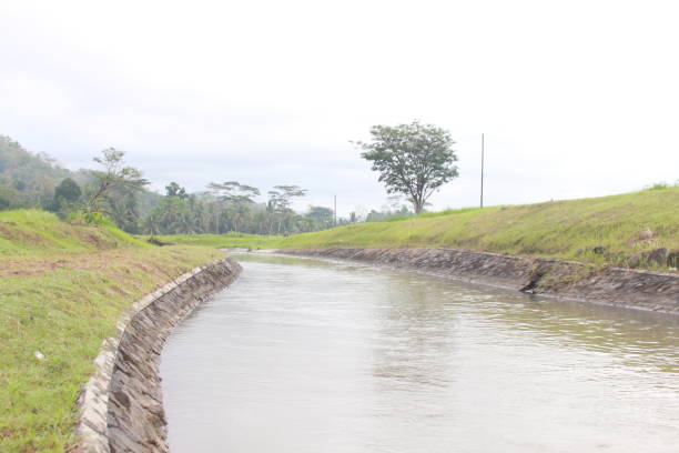 istock The Progo River is located in the Kulon Progo Regency area 1545474396