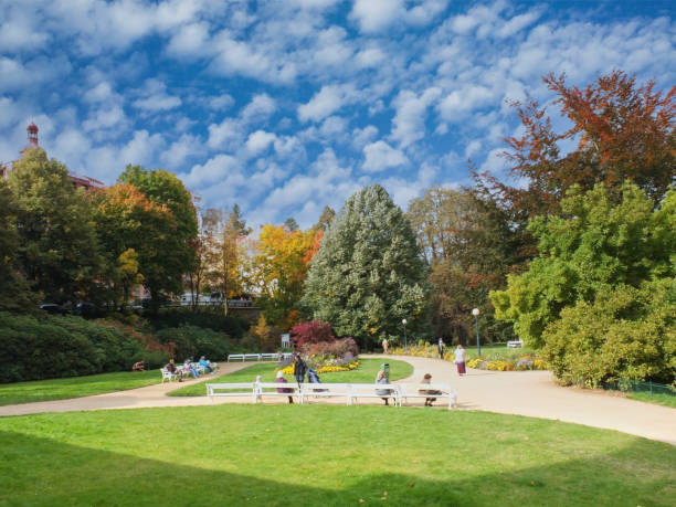 City park with trees and beautiful sky