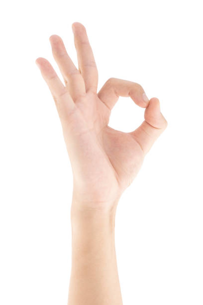 istock OK hand gesture, Isolated on white background, Clipping path Included. 1545502503