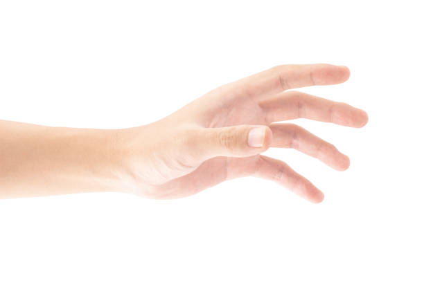 istock A hand that is holding or picking or gripping up something, Isolated on white background, Clipping path Included. 1545502519